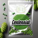 Close-up of Centennial hops showcasing their distinctive green cones, known for their aromatic citru