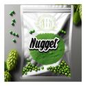 Close-up of Nugget hops with vibrant green cones, known for their distinctive floral and citrus arom